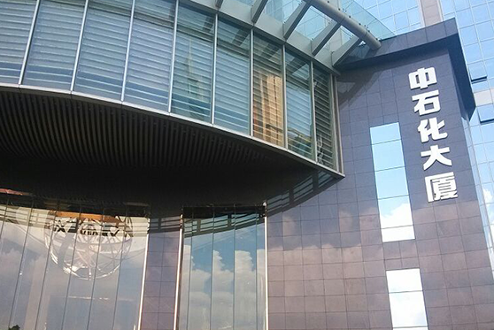 广东省广州市中石化大厦